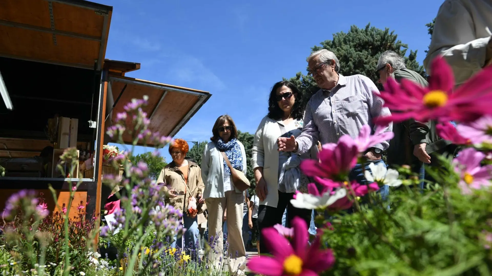 Miles de personas abarrotan el parque Grande para disfrutar del Zaragoza Florece: 