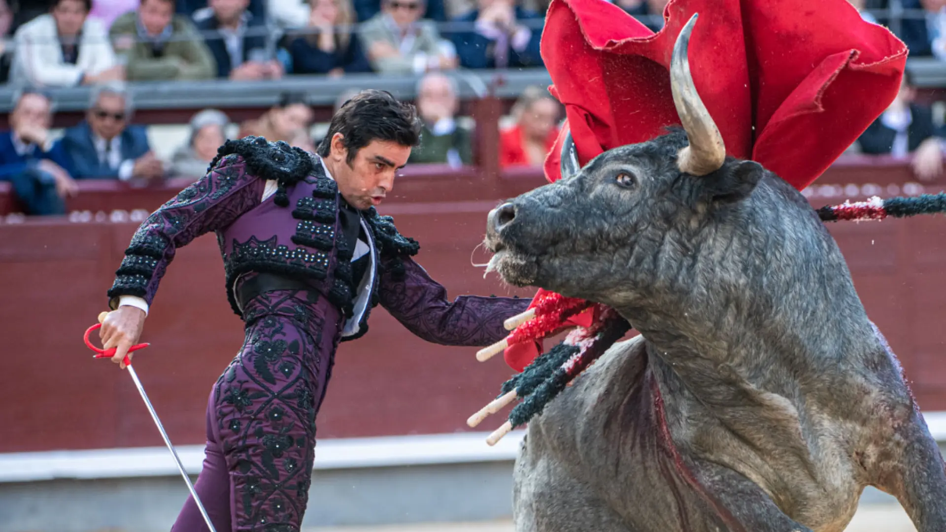 Horario y dónde ver la corrida del 1 de junio en la feria taurina de san isidro en madrid gratis: perera, adrián y rufo