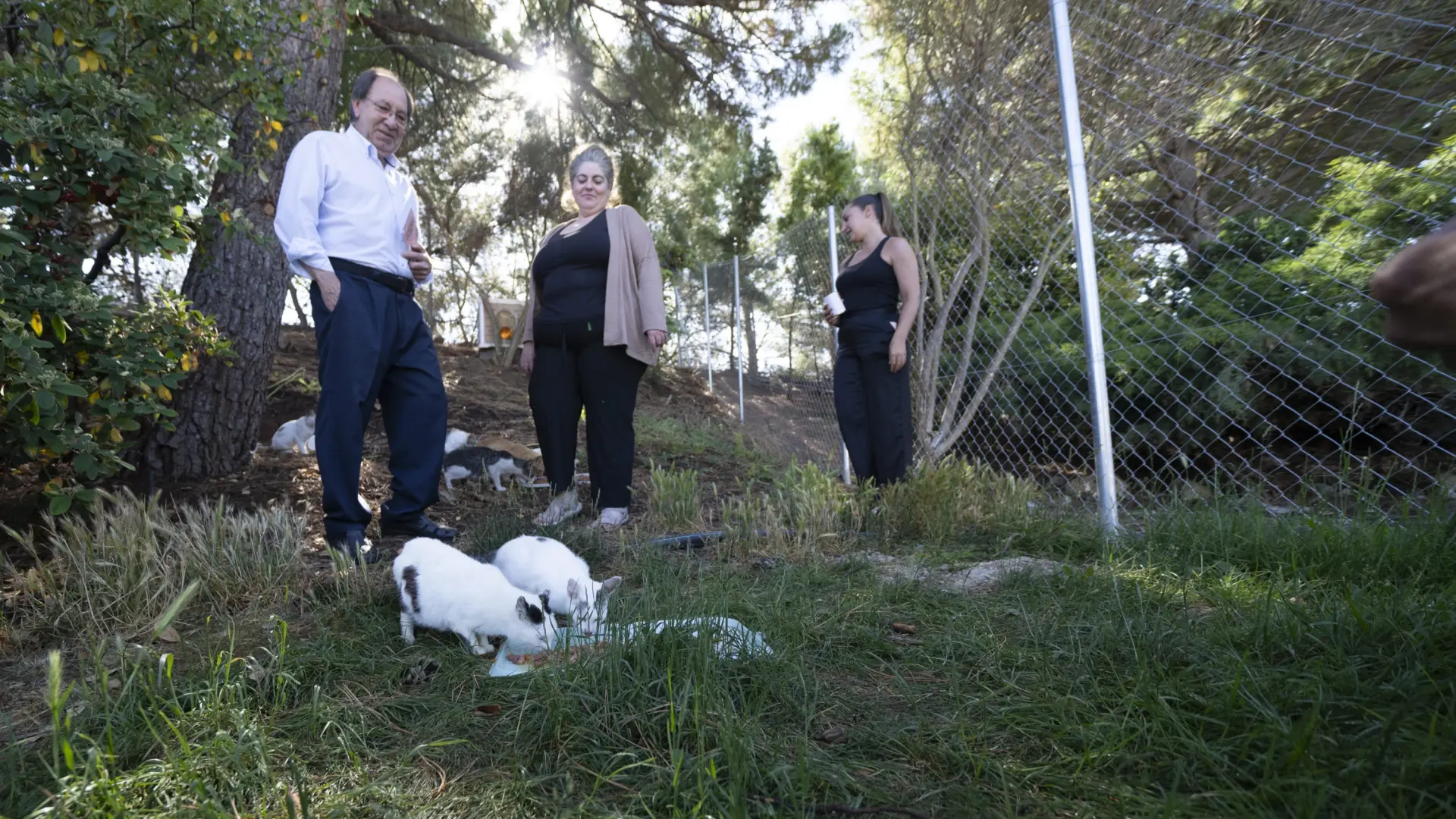 Casetas de pvc y un vallado para aumentar el bienestar felino en las colonias municipales de teruel