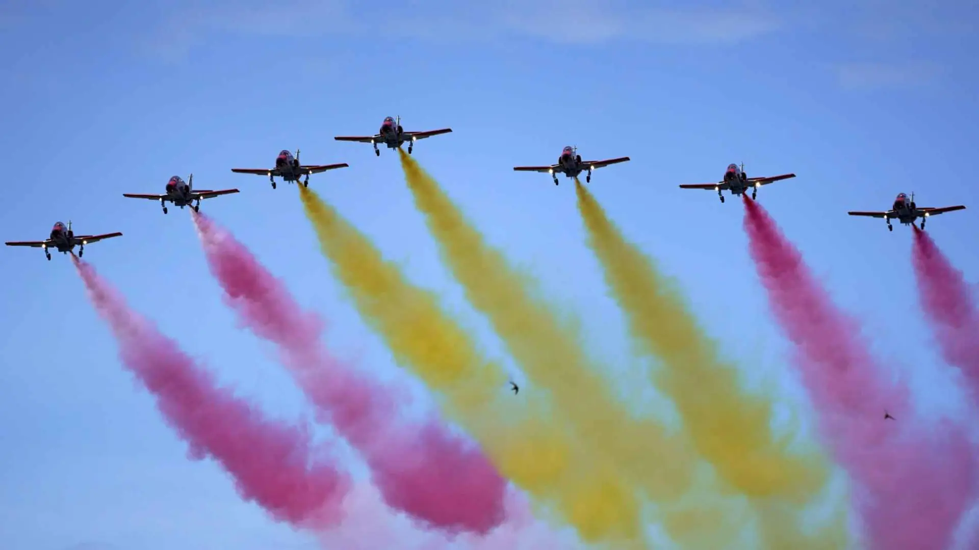 Programa del día de las fuerzas armadas 2025 en canarias: horario del desfile y actos