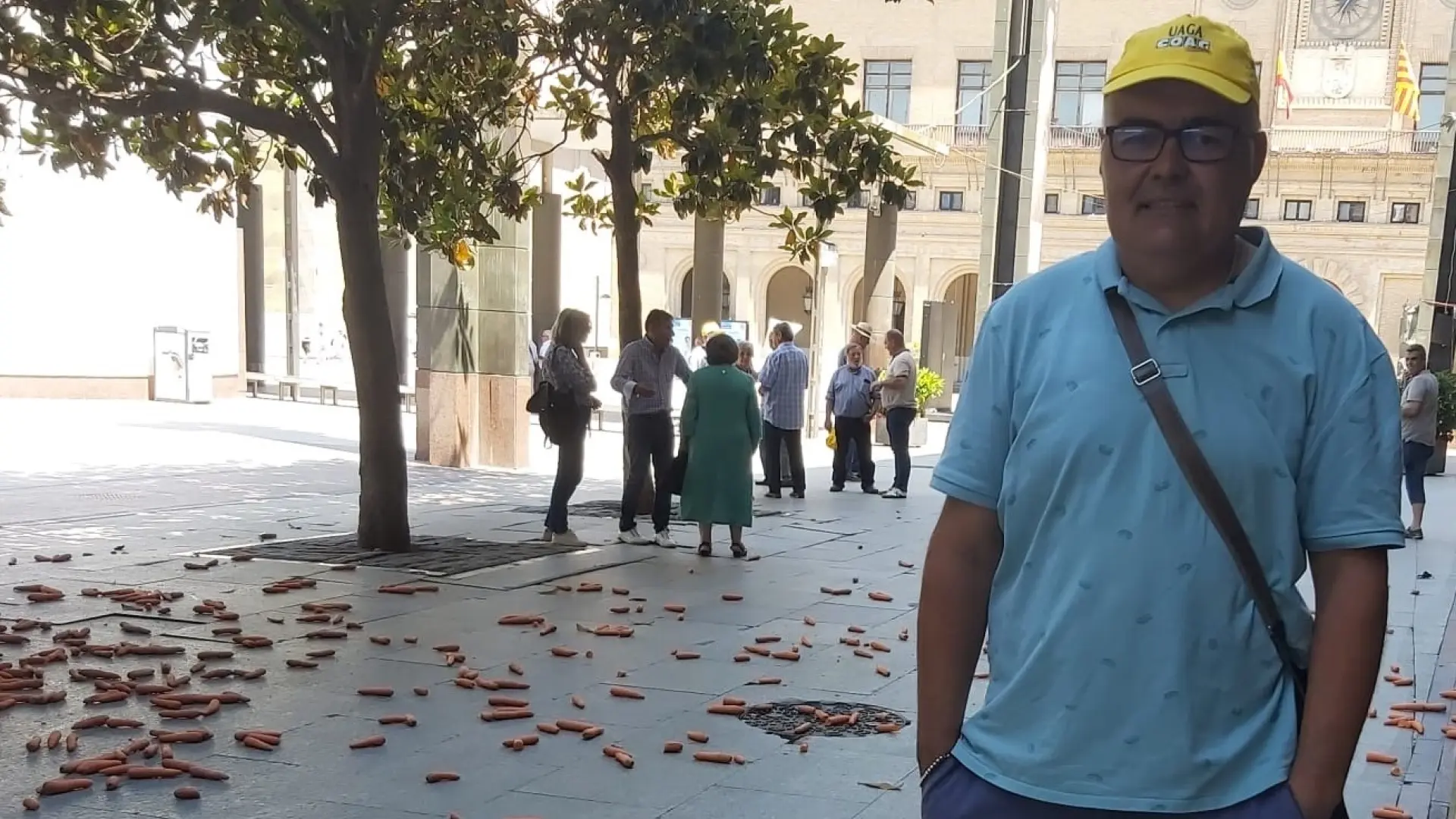 Agricultor afectado por la plaga de conejos: 