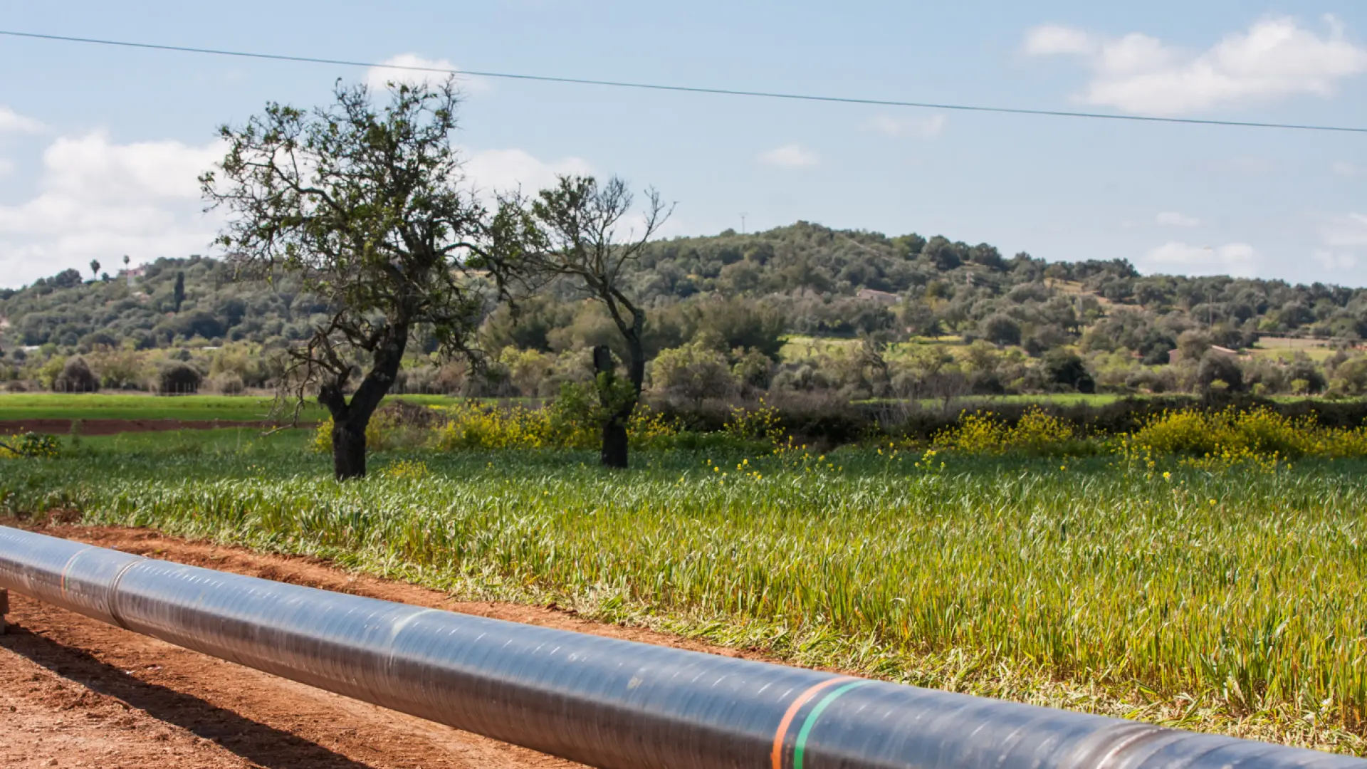 Gases renovables, aliados clave en la transición energética y el compromiso de Redexis