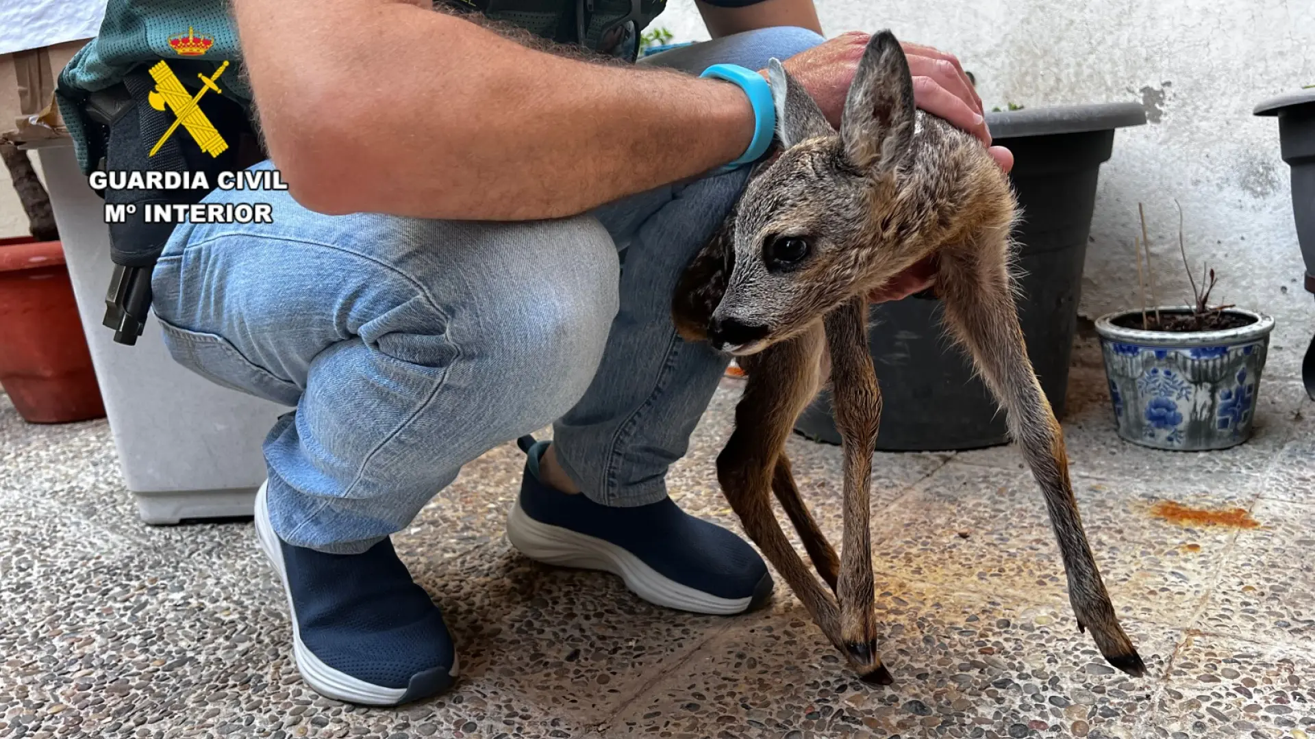 Greta de santi nuda Please confirm that you are a Human by