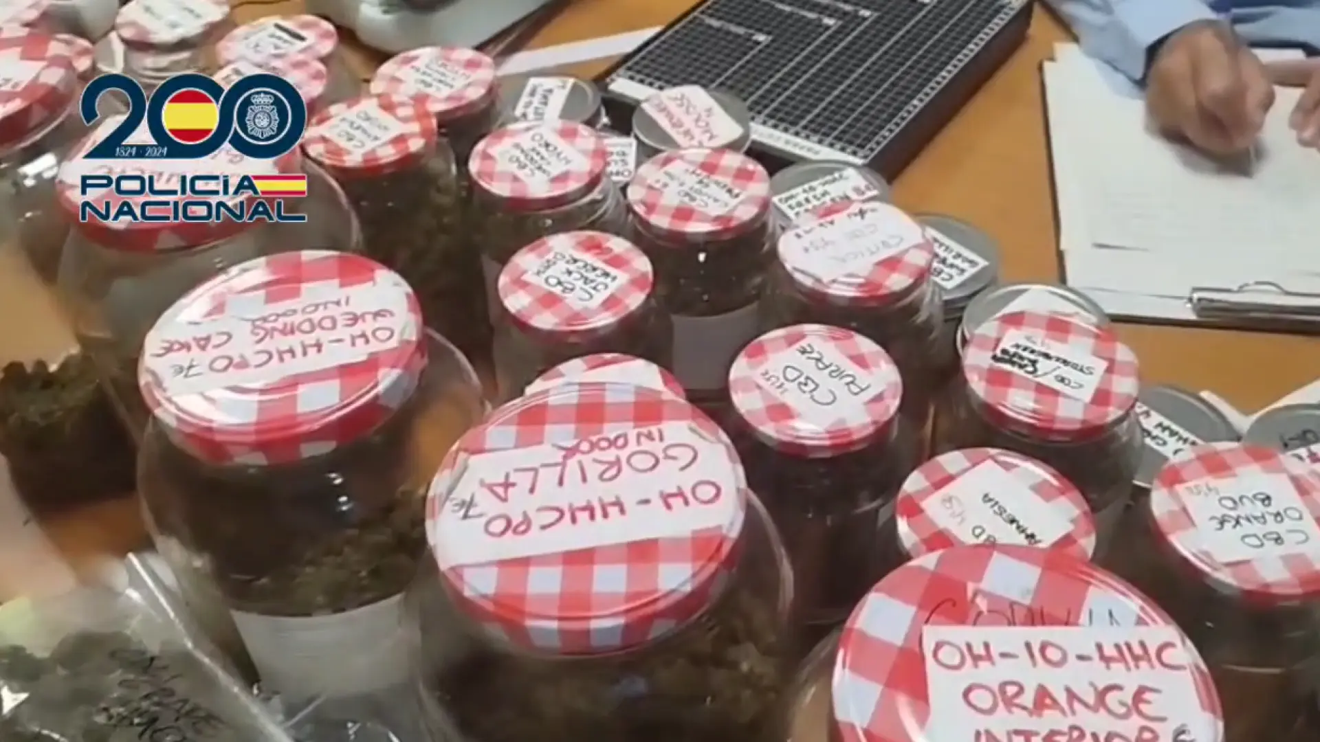 Detenido en Zaragoza por usar 4 tiendas 'grow shop' de tapadera para vender marihuana y hachís