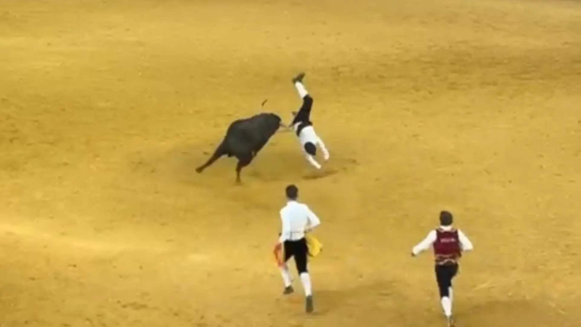 Grave cogida al recortador Saúl Pardo en la plaza de toros de Zaragoza Grave cogida al recortador Saúl Pardo en la plaza de toros de Zaragoza