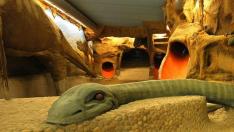 Dinospa para niños