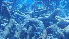 Los científicos dudan de que la Gran Barrera del Coral se recupere totalmente