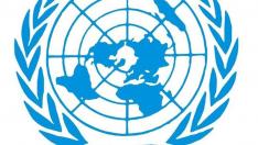Tradicionalmente, Naciones Unidas ha apostado en sus resoluciones por una solución política "justa, duradera y mutuamente aceptable".