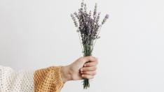 Imagen de archivo de un ramillete de lavanda.