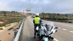 guardia