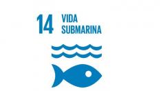Objetivo 14: vida submarina.
