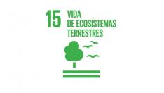 Objetivo 15: vida de ecosistemas terrestres.