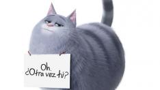 CHLOE, de 'Mascotas 2'.