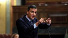 Pedro Sánchez, este miércoles en el Congreso de los Diputados.
