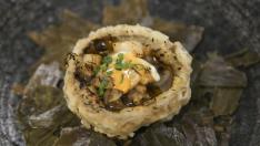 Tapa Punto