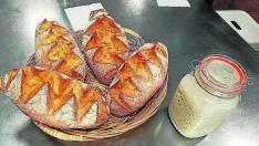 Pan de Ordesa elaborado por Panishop con Masa Madre de Cultivo Rébola.