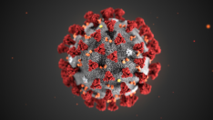 Ilustración del coronavirus 2019-nCoV creada en los Centros para el Control y la Prevención de Enfermedades (CDC).
