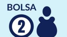 Bolsa 2.