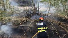 Bomberos de Alcañiz trabajando en la extinción del fuego