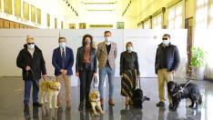 El Ayuntamiento de Zaragoza financiará el registro de ADN de todos los perros guía de la ciudad