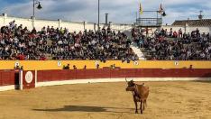 Imagen del festejo taurino celebrado el pasado día 18 en la plaza de toros de Alagón