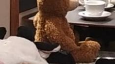 Los peluches "toman café" en Murrieta 34, en Logroño.