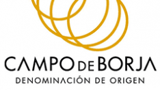 Denominación de Origen Campo de Borja.