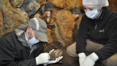 Uno de los hallazgos más sorprendentes en la cueva de Els Trocs es la parte anterior del cráneo de un niño, de unos 6 años, que los arqueólogos llaman, familiarmente, la ‘máscara’