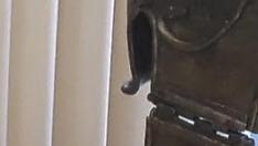 vv