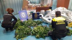 La Policía encontró las plantas de marihuana en el interior del piso incendiado.