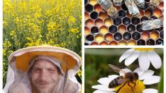 Roberto González, el joven apicultor detrás de Apicultura La Cerrada, y algunas de sus abejas.