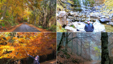 Del Hayedo del Moncayo a la Selva de Oza: las fotos de otoño más bonitas de nuestros ruteros