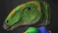 Imagen de la portada de la revista 'Journal of Comparative Neurology', con la reproducción de la cabeza del dinosaurio Proa.