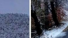 La nieve caída en Aragón inunda las redes de fotos y vídeos