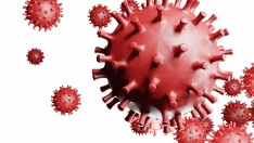Virus covid