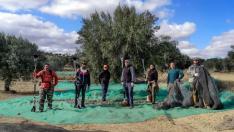 Desde que se puso en marcha hace siete años, la iniciativa ha dado trabajo a 13 personas.