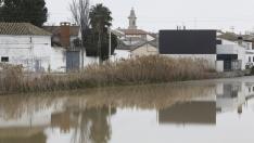 Trabajos de contención ante la crecida del Ebro en la Ribera Baja