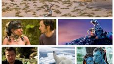 Varias películas sobre la crisis medioambiental.