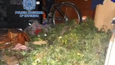 Seis detenidos en Zaragoza por esconder sacos de marihuana en una casa en ruinas en Cogullada