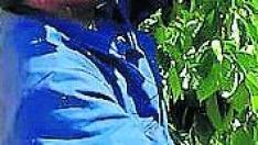 Campo