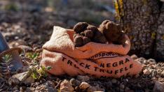 La Trufa Negra de Teruel cuenta con marca registrada desde 2005 en la que se establecen las características que dan la máxima cualidad a este diamante gastronómico.