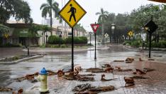 Una calle de Sarasota, Florida, con restos de palmeras antes del huracán.