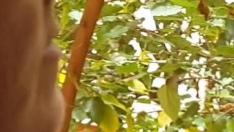 Cristina Cebollada con una de las ramas que puede tocar desde su ventana