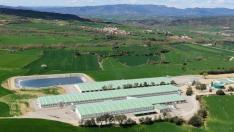 La granja Laguarres-Agropecuaria del Isábena, situada en Laguarres, ha conseguido el Porc d’Or Especial con Diamante.
