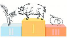 El sector agroalimentario aragonés representa el 12,9% del valor añadido bruto (VAB) de la Comunidd y el 13,9% del empleo de Aragón.