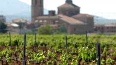 Campos de la D. O. Cariñena.