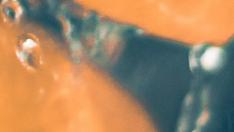christine-sandu-lf1yaJcL9OA-unsplash