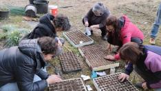 Un grupo de miembros del proyecto Guardianes de la Biodiversidad realiza la siembra de variedades hortícolas tradicionales.