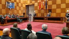 Badiola, este martes, en el salón de plenos del Ayuntamiento de Zaragoza