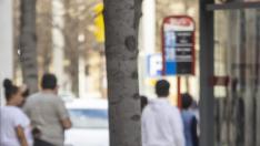 calor Zaragoza marzo 2023